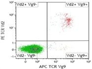 PE Anti-Human TCR Vd2 Antibody