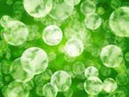 Take the Biocompare Quiz: Microbes, Chimpanzees, and More