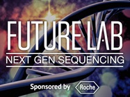 Improving Target Enrichment with Optimized Probes and Polymerases