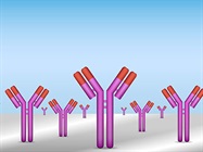 Multiplex Immunoassay Overview