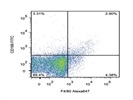Staining Mouse Splenocytes With Anti-F4/80 Alexa647