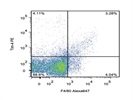 Staining Mouse Splenocytes With Anti-Tim-4 PE