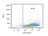 Staining Mouse Splenocytes With Anti-CD44 BV421
