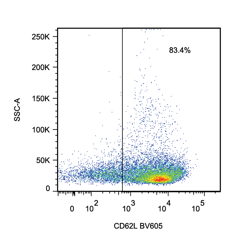 Cd 62. Cd 62
