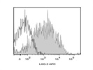 Staining Mouse Splenocytes With Anti-LAG-3 APC