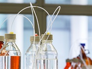 Recent Advances in HPLC