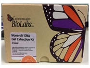 Purification of DNA from Agarose Gels for Cloning