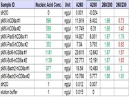 Midiprep Yields in a Miniprep Format