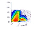 CD3 Works Pretty Well For Mouse Cells