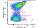 The Antibody Stains NK1.1+ Cells Well