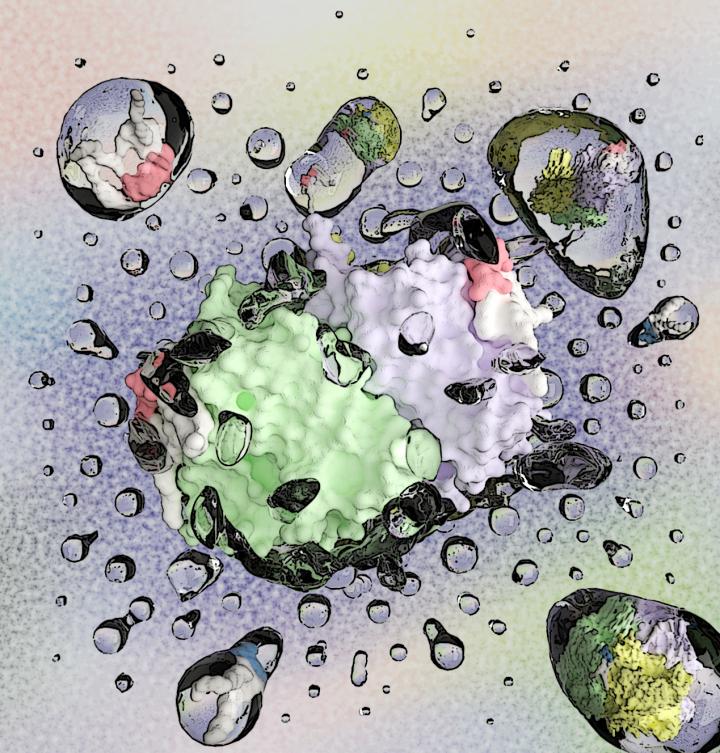 lipid-protein interaction