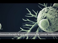 Immunotherapy Overview