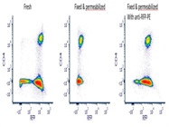 Anti-RFP Antibody For Flow Cytometry