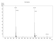 Better Quality Of Peptide With Excellent Purity