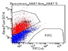 CD144 (VE-cadherin) Antibody