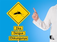 Accelerate Your Research into Mosquito-Borne Diseases