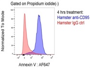 Clear Resolution Of Live Apoptotic And Non-Apoptotic Cells
