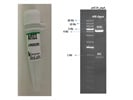 Diagnostic Restriction Mapping Of The Plasmid Construct With AflII Enzyme