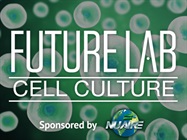 How to Differentiate Healthy Cells from Unhealthy Cells