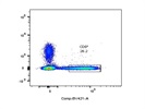 Antibody Works Easily With Mouse CD8+ Cells