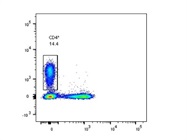Reliable Mouse CD4 Marker