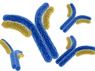 On Demand: Automating Mass Spectrometry Based Glycan Identification Webinar