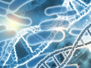 Metagenomics: Illuminating the Microbial World