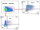 Classification Of Naive, Effector And Memory T Cells