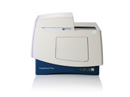 Automate Cellular Imaging & Analysis with ImageXpress Pico