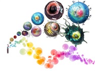 Three Tips for Assembling a Multicolor Flow Cytometry Panel