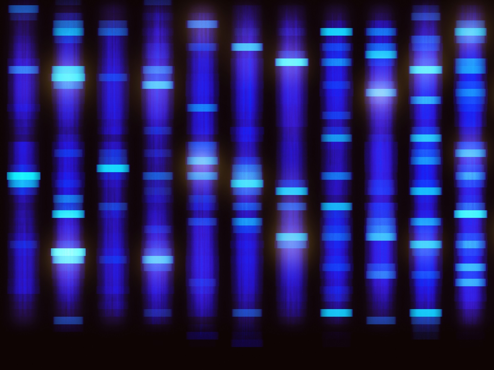  Genetic Analyzer for Sanger Sequencing and Fragment Analysis