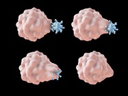Imaging Flow Cytometry, Clean-Up Crews, and More