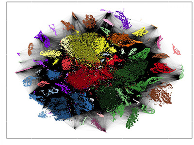cell lineage tracing with LINNAEUS