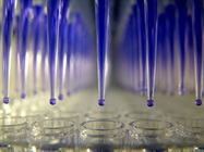 Liquid Handling Gets Connected