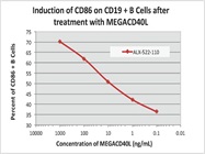 Enhance Experimental Immune Activation with MEGACD40L® Protein