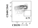 Flow Cytometry Marker For Long Term Hematopoietic Stem Cells