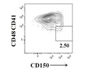 Identification of Long Term HSCs With CD41
