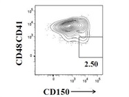 Identification of Long Term HSCs With CD41