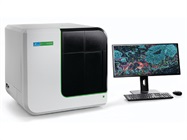 Visualize and Quantify Cellular Interactions in the Tumour Microenvironment