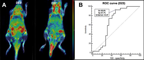 18F-FEDAC uptake in RA mouse model