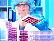 Controlling Mycoplasma Contamination of Cell Cultures