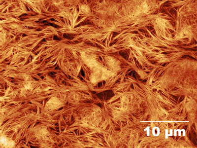 mesh for growing neurons
