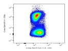 Reliable CD8 antibody for Flow Cytometry