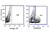 CD309 Monoclonal Antibody