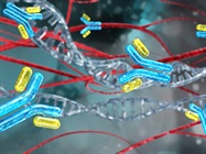 The Advantages of Recombinant Antibodies