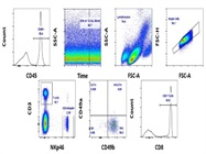 4-Laser, 13-Color Flow Cytometer