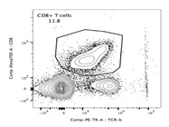 Excellent CD8a Antibody