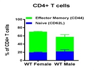 BD LSRII U Flow Cytometer (Older Model)