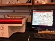 Accuri C6 Flow Cytometer