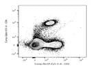 Reliable CD4 Antibody For Flow Cytometry